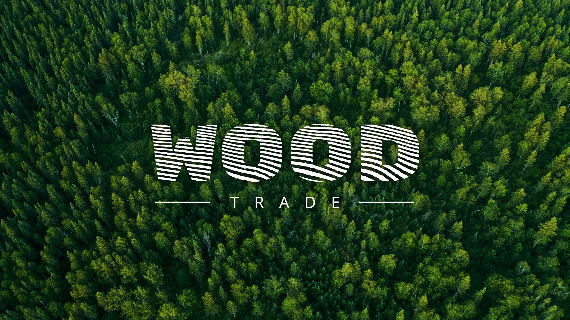 Разработка интернет-магазина компании «Wood Trade» в Каргополе